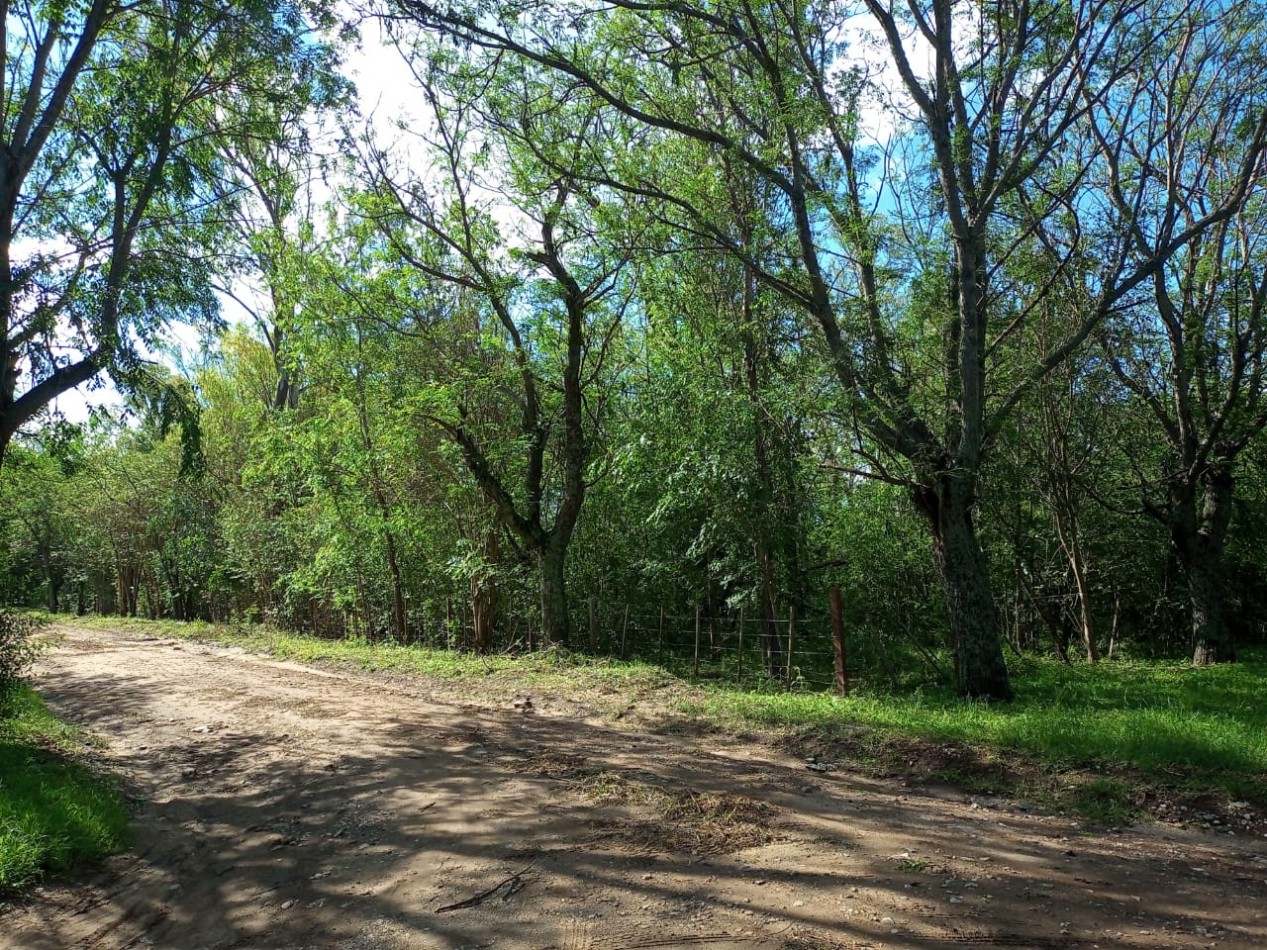 Los Reartes (Cordoba) Lotes en Oportunidad