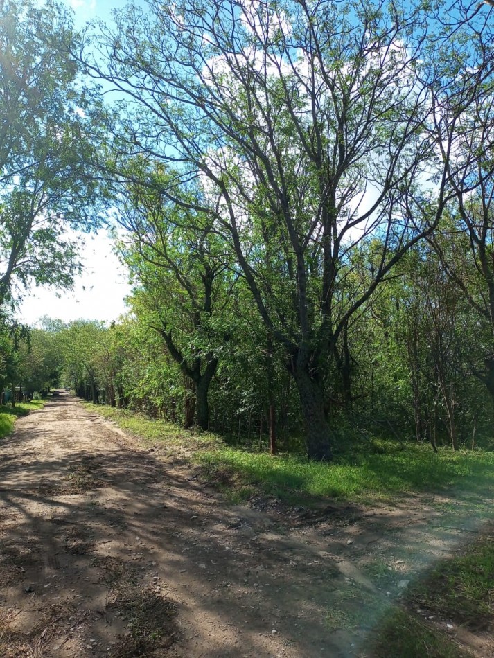 Los Reartes (Cordoba) Lotes en Oportunidad