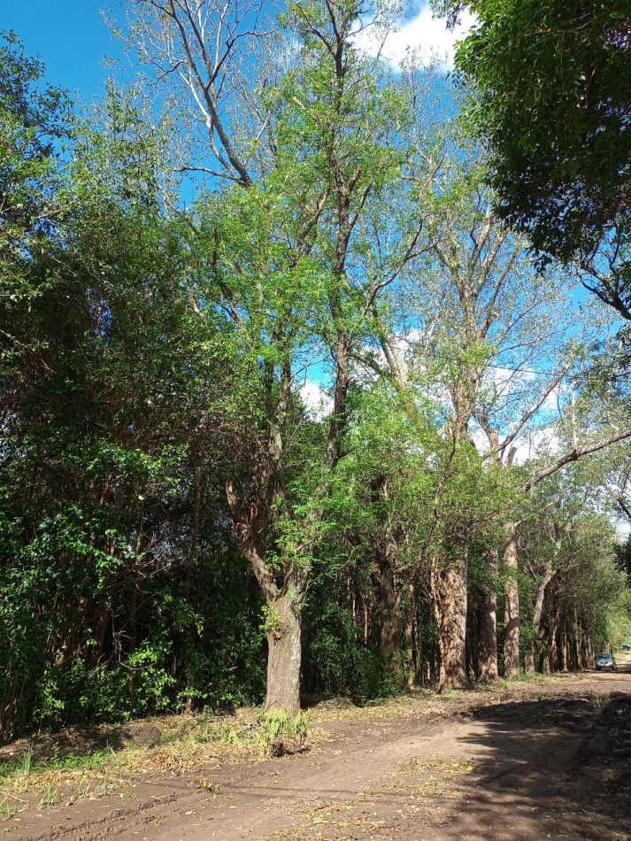 Los Reartes (Cordoba) Lotes en Oportunidad