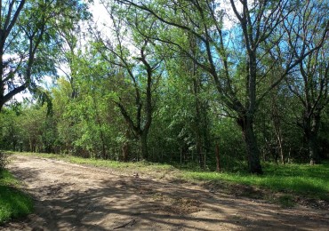 Los Reartes (Cordoba) Lotes en Oportunidad